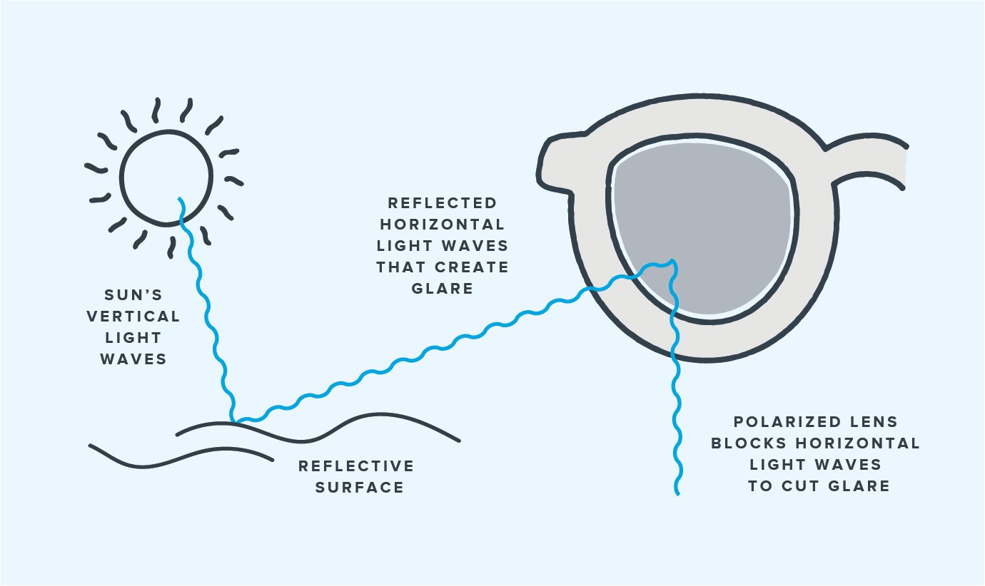 Diagram showing how polarized lenses block horizontal light waves to cut glare