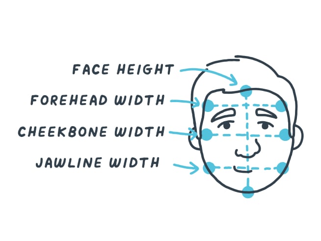 An illustration of a round face labeling its proportions