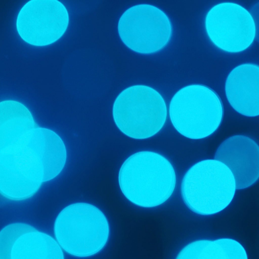 Astigmatism Lights Night Driving Tips Warby Parker