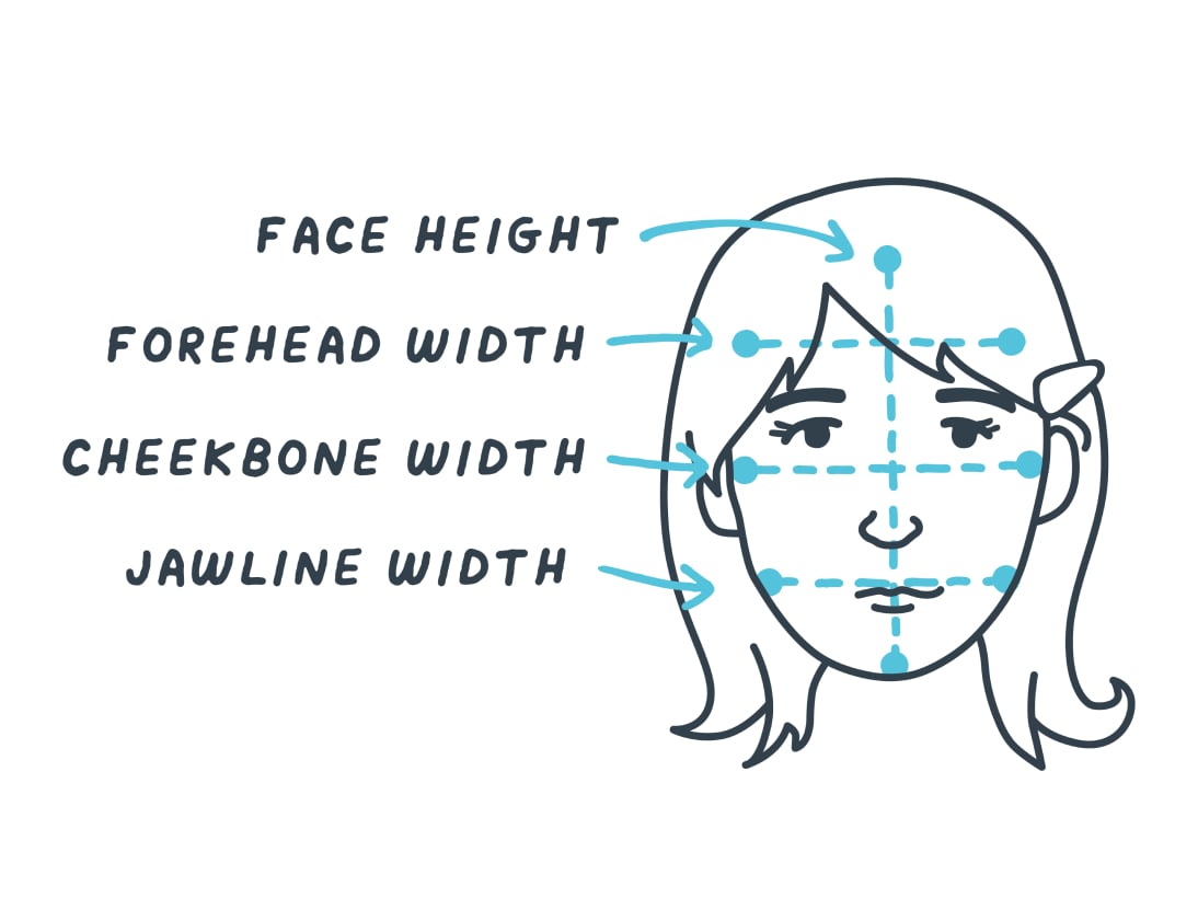 Diagram of an oval face illustrating relative width and height