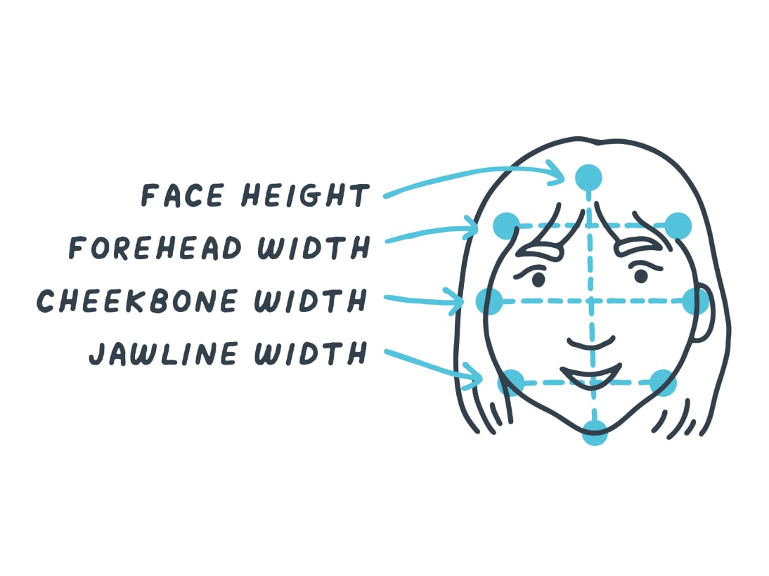 Diagram of a heart-shaped face illustrating relative width and height