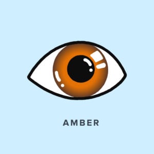 What Is the Rarest Eye Color? | Warby Parker