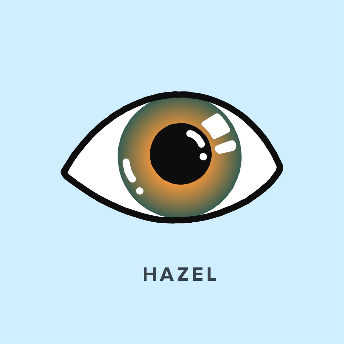 Illustration of a hazel-colored eye