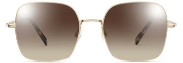 Aniyah sunglasses in Polished Gold