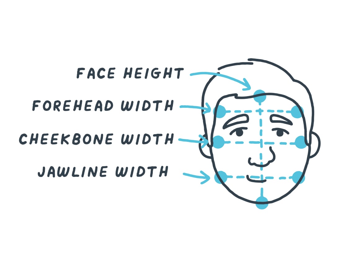 Diagram of a round face illustrating relative width and height