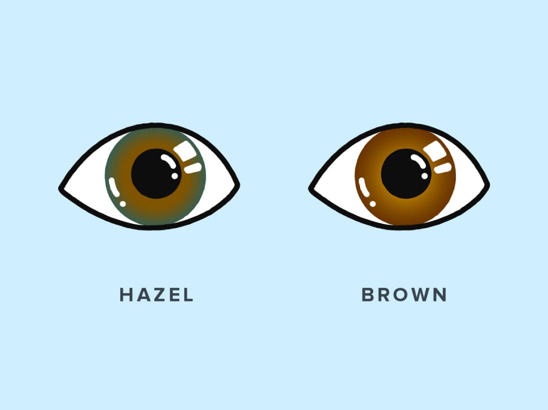Side-by-side comparison of hazel versus brown eye colors