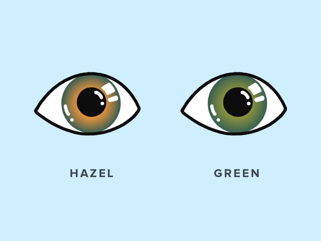 Side-by-side comparison of hazel versus green eye colors