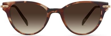 Fara Sunglasses in Sesame Tortoise with Polished Gold