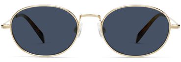 Albie Sunglasses in Polished Gold